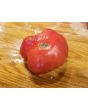 Tomato 'Lil's Favorite'