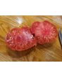 Tomato 'Lil's Favorite'
