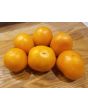 Tomato 'Valencia'