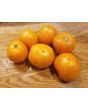 Tomato 'Valencia'