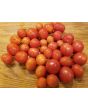 Tomato 'Apollo' Seeds (Certified Organic)