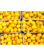 Tomato 'Plum Lemon' 