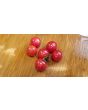 Tomato 'Matt's Wild Cherry'