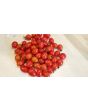 Tomato 'Teardrop Red Grape' 