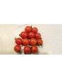 Tomato 'Small Pink Cherry RD' 