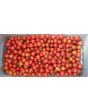Tomato 'Matt's Wild Cherry'