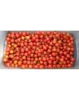 Tomato 'Matt's Wild Cherry'