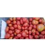 Tomato 'Teardrop Red Grape' 