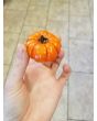 Eggplant 'Pumpkin on a Stick'