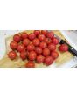 Tomato 'Tommy Toe' 