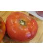 Tomato 'Chapman' 