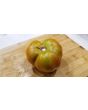 Tomato 'Thorburn's Terra Cotta' 