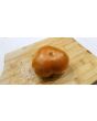 Tomato 'Thorburn's Terra Cotta' 