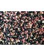 Pole Bean 'Katie's Mixed Snaps' 
