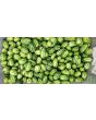 Cucumber 'Mouse Melon' or 'Mexican Sour Gherkin' 