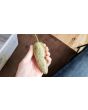 Hot Pepper ‘Farmers' Market Jalapeno'