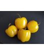 Sweet Pepper ‘Mini Yellow Bell’ Seeds (Certified Organic)