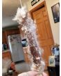 Cattail Seeds