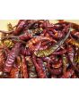 Crushed Cayenne Peppers Harvested on our Farm, Certified Organic