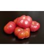 Tomato 'Yucatan Surprise' Mexico Mexican