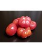 Tomato 'Yucatan Surprise' Mexico Mexican