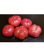 Tomato 'Yucatan Surprise' Mexico Mexican