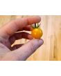 Tomato 'Gold Currant' 