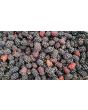 Wild Blackberry Seeds (Certified Organic)