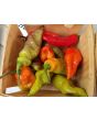 Hot Pepper ‘Black Ghost (Bhut Jolokia x Pimenta de Neyde)' Seeds (Certified Organic)