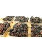 Wild Blackberry Seeds (Certified Organic)