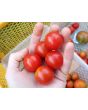 Tomato 'Supersweet 100 F2' Seeds (Certified Organic)