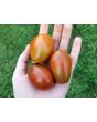 Tomato 'De Barao Chornyy' AKA 'Chocolate Berry' 