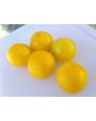 Tomato 'Large Yellow Cherry' 