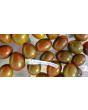 Tomato 'Chocolate Sprinkles F2' Seeds