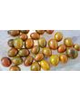 Tomato 'Chocolate Sprinkles F2' Seeds