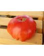 Tomato 'Mystery Weirdo'