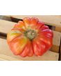 Tomato 'Mystery Weirdo'