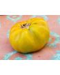 Tomato 'Peppermint' 