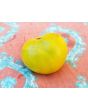 Tomato 'Orange Sunrise' 
