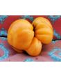 Tomato 'Goldie' 