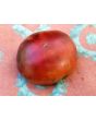 Tomato 'Black Beauty' Seeds