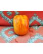 Tomato 'Plum Tigris'