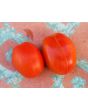 Tomato 'Mary's Square Paste' AKA 'Grandma Mary's Paste' 