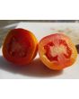 Tomato 'Mary's Square Paste' AKA 'Grandma Mary's Paste' 