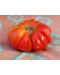 Tomato 'Mystery Weirdo'