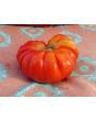 Tomato 'Mystery Weirdo'