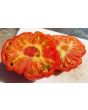 Tomato 'Mystery Weirdo'