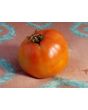 Tomato 'Oregon Spring'