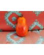 Tomato 'Martino's Roma' 