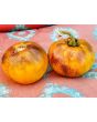 Tomato 'Purple Smudge, Orange Fleshed' 